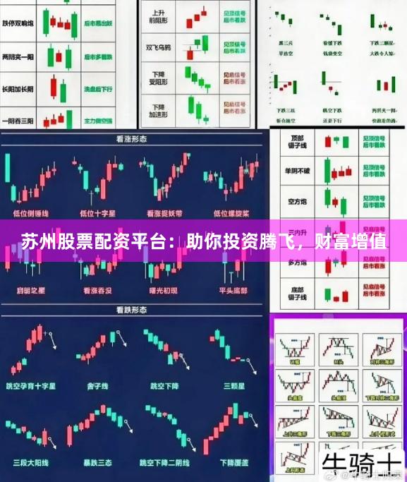 苏州股票配资平台：助你投资腾飞，财富增值