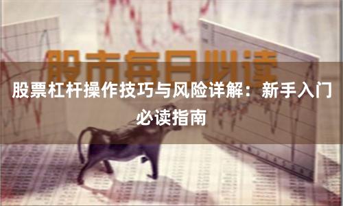 股票杠杆操作技巧与风险详解：新手入门必读指南